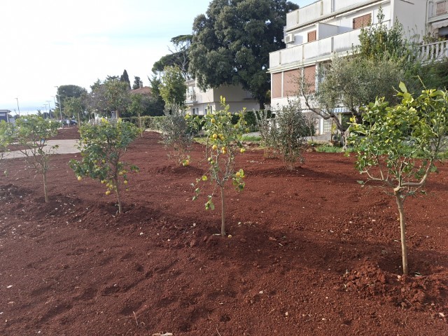 Rezime. Što su Gradovi i Općine darovali umirovljenicima pred Uskrs…Bilo je i naranči i limuna.